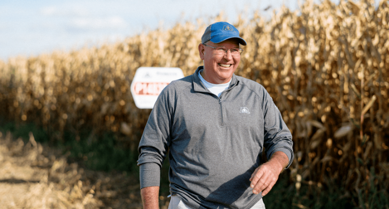 Як зібрати 40 т кукурудзи з гектара — 7 секретів Девіда Хули