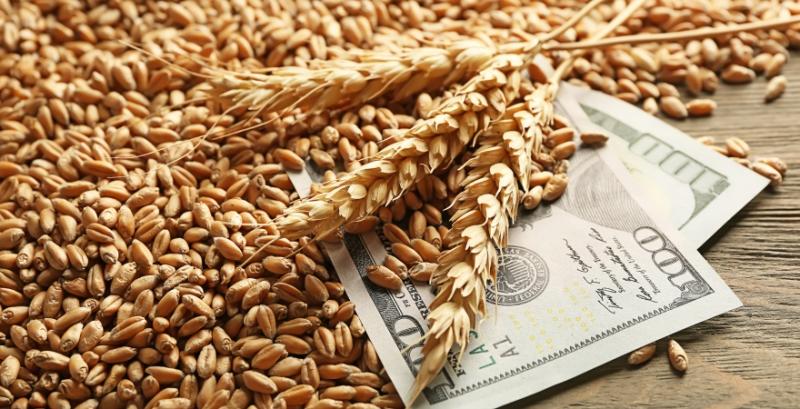 Пшениця дорожчає у всіх напрямках — брокери