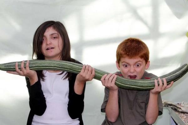 1 м і 6 см — довжина огірка, вирощеного Клер Пірс в Уіттлсеті