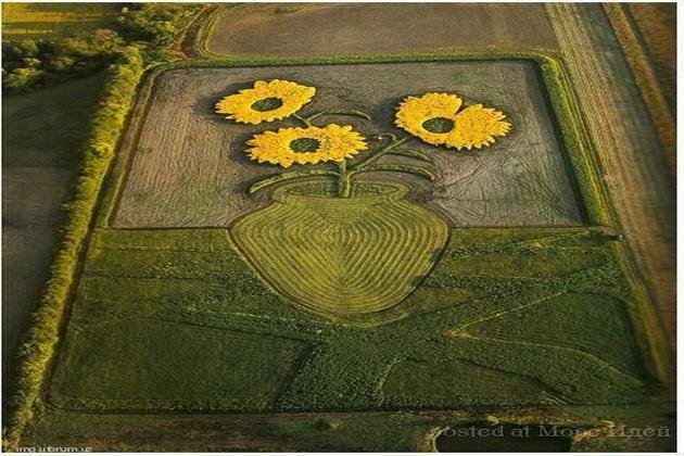 Американский фермер «рисует» картины на полях