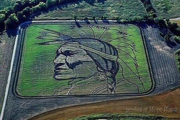 Американский фермер «рисует» картины на полях