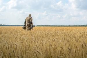 Вдвічі дорожчі продукти, забій тварин і голод в Африці: як війна в Україні вплине на світових споживачів
