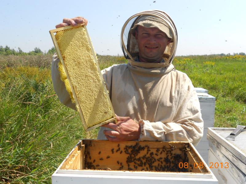 Олег Коцюмбас, почесний пасічник України, головний редактор журналу «Бджоляр»