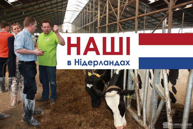 Наші в Нідерландах: як українські сільгоспвиробники переймали досвід колег