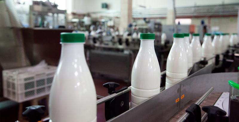 Молоко та молочні продукти: географія продажів, імпортери, обсяг експорту і виробництва