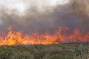 На Запоріжжі порушили питання самовільного спалювання сухої рослинності
