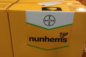 Bayer веде перемовини з BASF про продаж Nunhems
