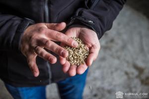 Китайського генетика засудили за викрадення ГМ-насіння