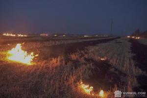 На Сумщині загорілися поля зі стернею