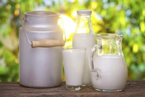 Якість молока у 2018 покращилась — Ковальова