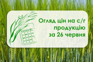 Як змінилась вартість зернових та олійних — огляд цін на с/г продукцію за 26 червня