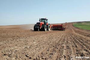 На Миколаївщині розпочали посів озимої пшениці