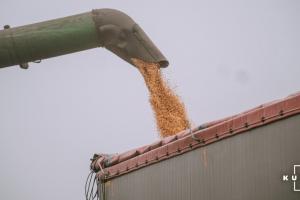 Ще одна область України збільшила урожай зернових