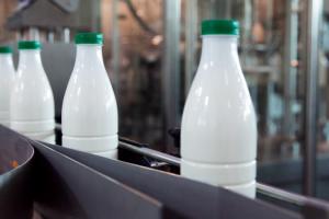 В Україні запустили швейцарську програму підтримки органічного та молочного секторів