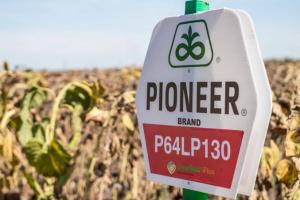 Corteva та фермери розповіли, чи ефективна модель прямих продажів Pioneer