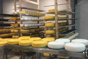 Тиск імпорту спровокує падіння виробництва сирів в Україні на 7%
