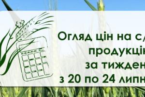 Пшениця та ячмінь дорожчають — огляд за тиждень з 20 по 24 липня