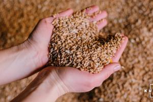 Аграрії Луганщини зібрали рекордну кількість зерна