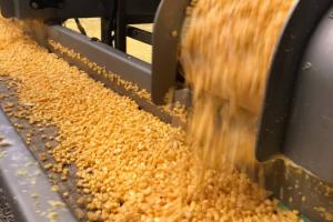 Трейдери завалюють Китай дешевою імпортною кукурудзою — Bloomberg