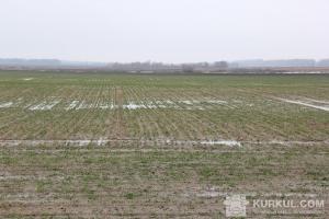 Кошти сплачені до місцевих бюджетів області впродовж січня-листопада 2016 р.