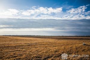 Перелік земельних ділянок містить 166 пропозицій, загальною площею 3,046 тис. га