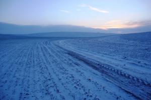 Більшість сходів на Кіровоградщині — зріджені та слабкі