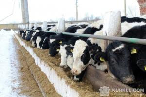 Поголів`я ВРХ збільшилося у восьми районах області, а в одному залишилося на попередньому рівні