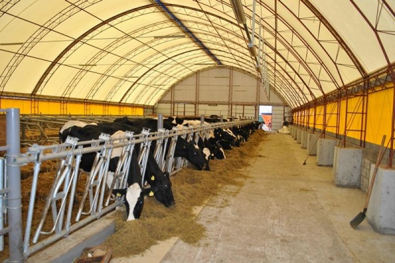Danone планує збільшити кількість молочних сімейних ферм в Україні до 206