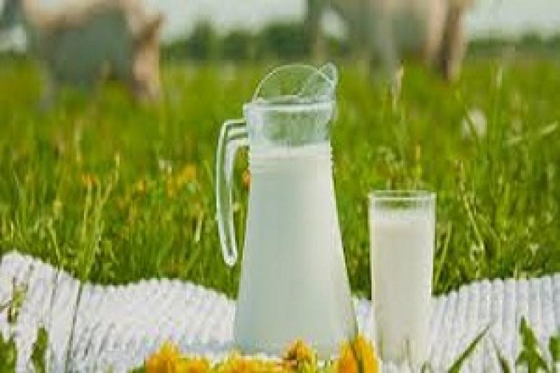 Виробництво молока в Україні зменшується
