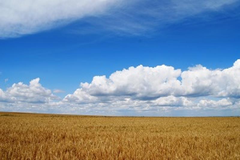На Кіровоградщині сільськогосподарські землі вартістю понад 2,7 млн грн повернуто державі