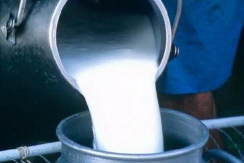 На Вінниччині селяни не задоволені низькими закупівельними цінами на молоко