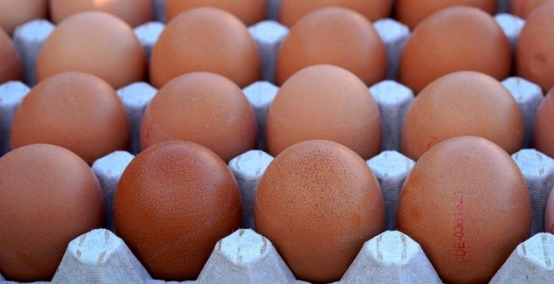 Українські яйця експортуватимуть до Гонконгу