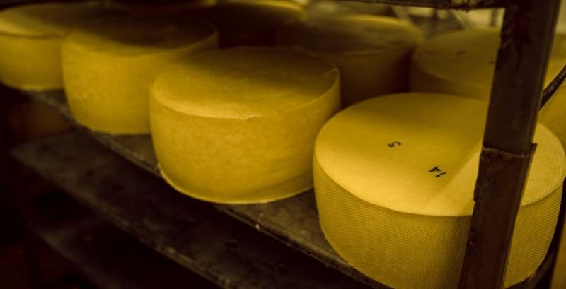 На українському ринку сиру зростає конкуренція