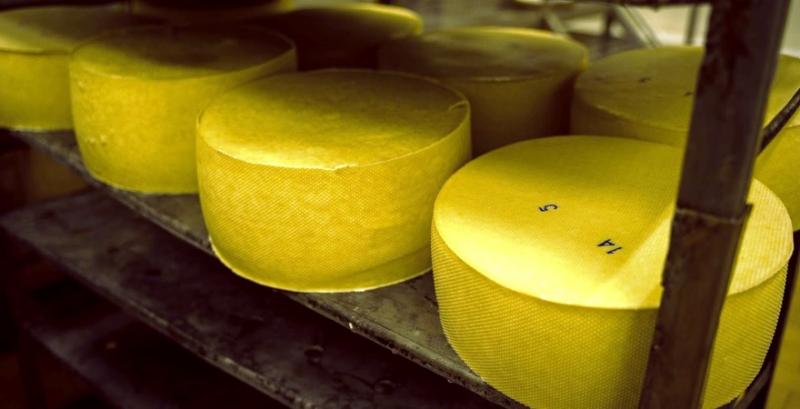 Вітчизняним сирам все складніше конкурувати з дешевою європейською продукцією