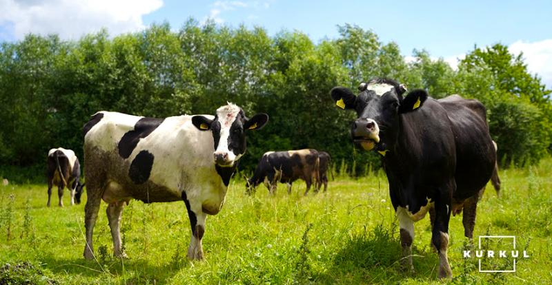 Фермерам повернули бюджетні дотації на утримання худоби та землю 