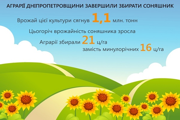 На Дніпропетровщині зібрали 1 млн т соняшника