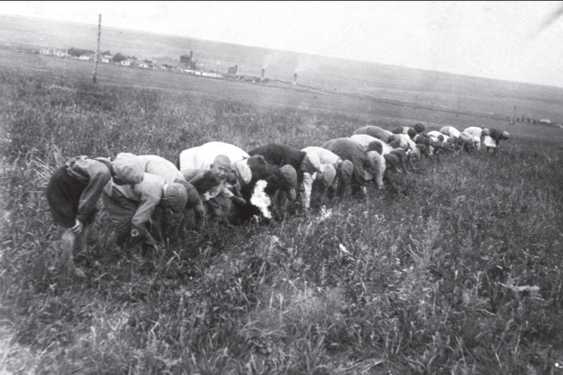 Діти збирають колоски, Донбас, 1934, hronika.info