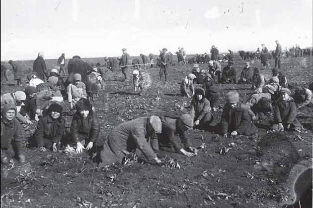 Саджання картоплі в полі, Донеччина, 1933, hronika.info