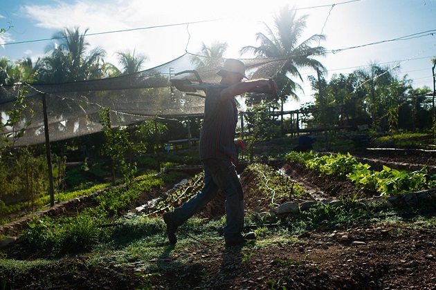 Фермер Еудалдо Гарсія обходить свої посіви на фермі Фінка Марта. Восьмигектарну органічну ферму було засновано чотири роки тому Фернандо Фунесом Монцоте поблизу Гавани