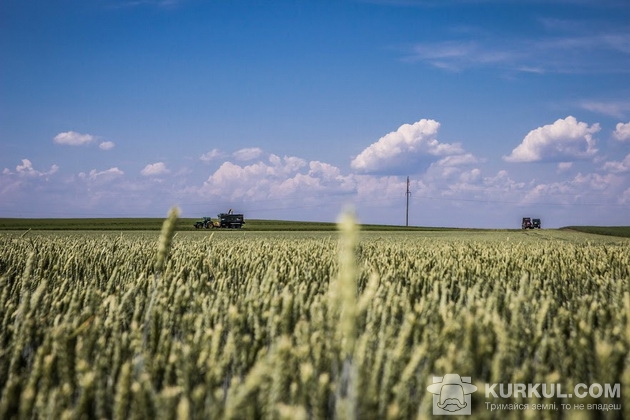 західний буг, пшениця 2017, агроекспедиція
