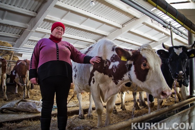 Щасливі корови і працівники ферми