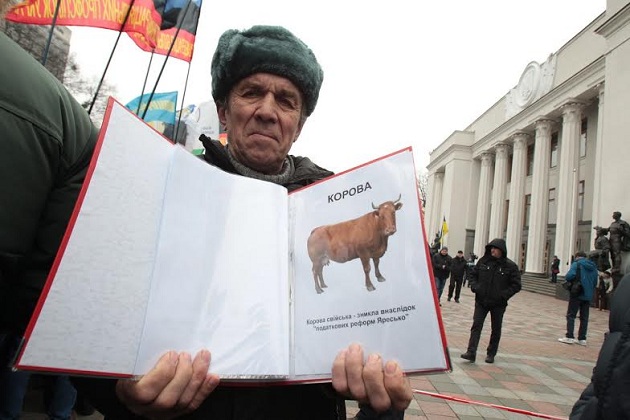 Корова — тварина, що тепер внесена до червоної книги, фото Геннадій Мінченко