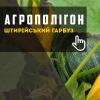 АгроПолігон Штирійський гарбуз: примхливий, але корисний