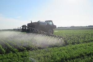 Спільні польові випробування на кукурудзяних полях Дніпропетровщини