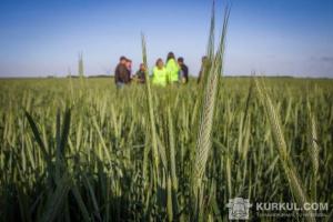 Перший день АгроЕкспедиції на житніх полях Чернігівщини