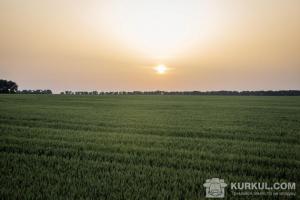 АгроЕкспедиція «Пшениця 2016» вже стартувала!