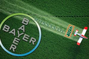 Bayer отримає більше 2000 видів насіння кукурудзи, сої та пшениці