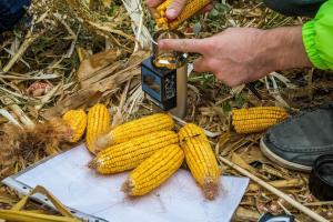 Вимірювання вологості кукурудзи