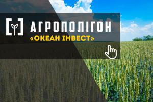 АгроПолігон Океан Інвест: озима пшениця в умовах посухи на Хмельниччині