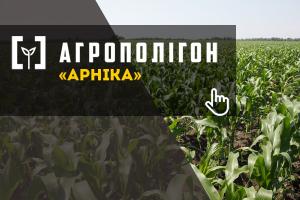 АгроПолігон Арніка: Кукурудза й озима пшениця в сівозміні органічного господарства